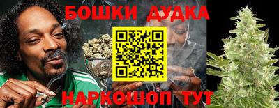 гидропоника Партизанск